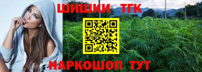 сатива Бузулук