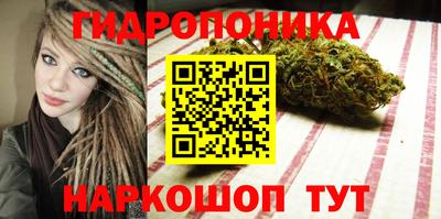 сатива Бузулук