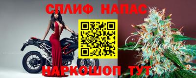 сатива Бузулук